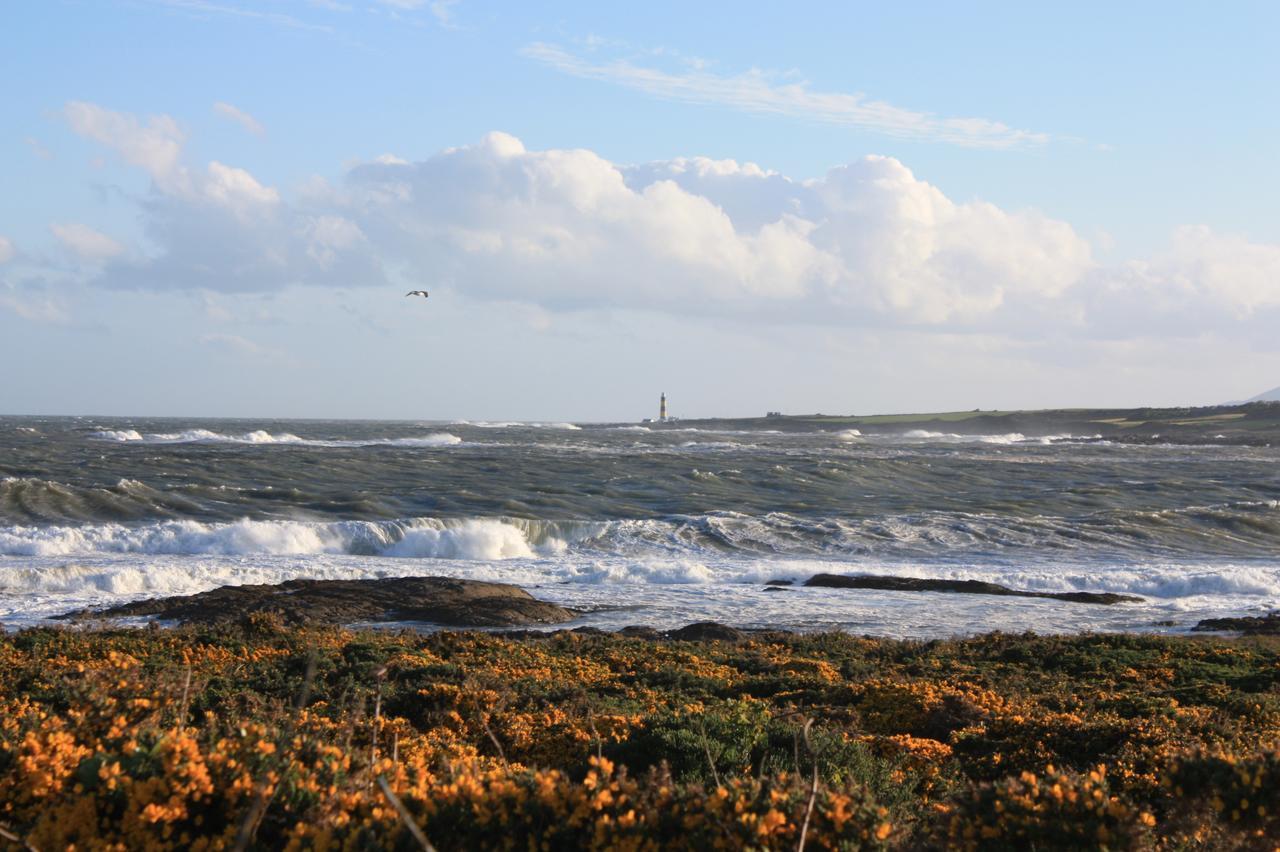Ringfad B&B Ardglass Luaran gambar